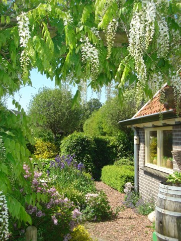 Verblijf 171201 &bull; Bed and breakfast Midden Drenthe &bull; Roings B&B 