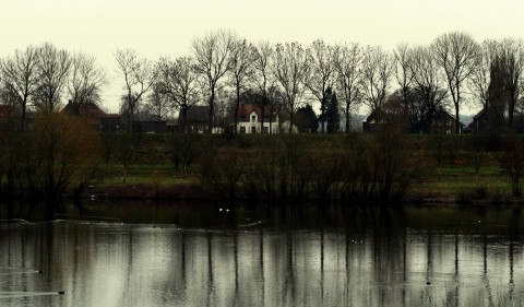 Verblijf 371401 &bull; Bed and breakfast Midden Limburg &bull; kingston's Cottage 