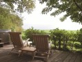Bed and breakfast te Allingawier, Friese bossen