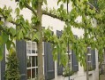 Bed and breakfast te Walsoorden, Zeeuws-Vlaanderen