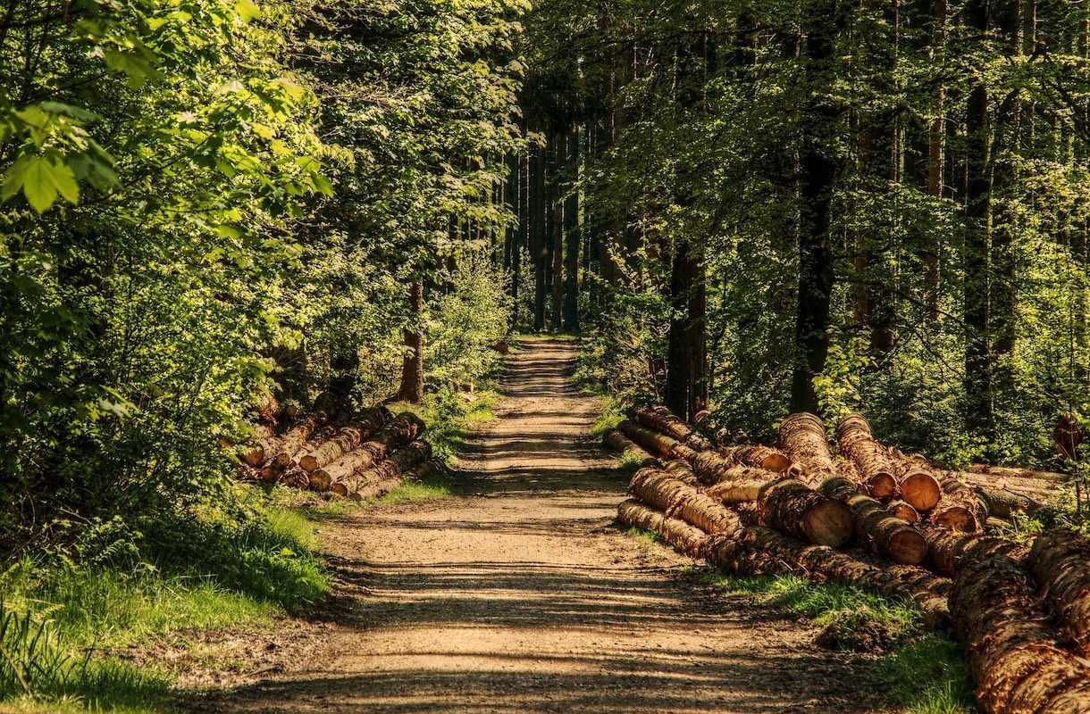 De leukste vakantiebestemmingen voor deze zomer