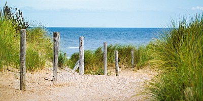 Mom bag meenemen naar het strand
