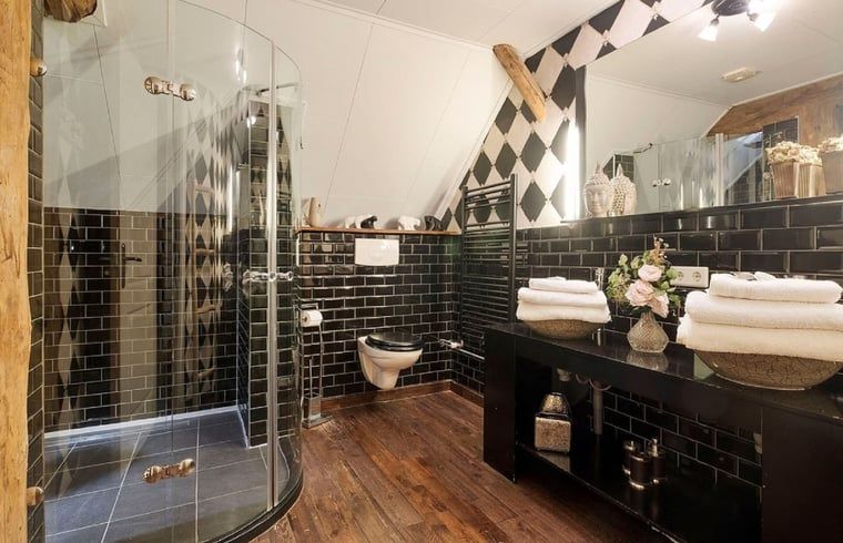 Luxury bathroom in Cottage in Stieltjeskanaal, bed and breakfast in Drenthe with modern amenities and stylish finishes.