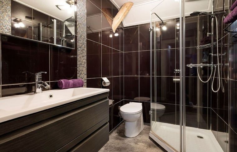 Stijlvolle badkamer in Huisje in Stieltjeskanaal, Zuidoost Drenthe, met luxe douche en moderne wastafel.