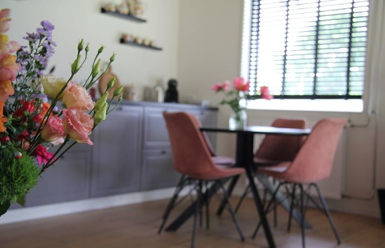 Guest house 291809 - Bed and Breakfast Achterhoek - Huisje in Laren GLD