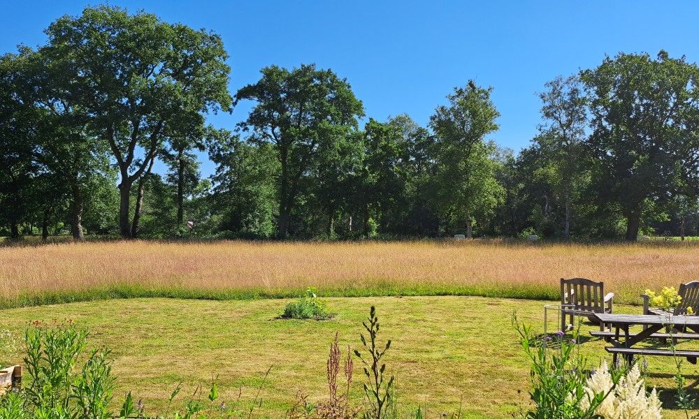 Uitzicht op de groene omgeving van bed & breakfast DE DOBBE in Glimmen, Groningen.