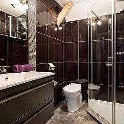 Stijlvolle badkamer in Huisje in Stieltjeskanaal, Zuidoost Drenthe, met luxe douche en moderne wastafel.