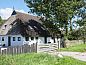 Guest house 232401 • Bed and Breakfast Friese bossen • Vakantiehuisje in Langedijke  • 1 of 10