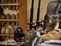 Guest house 323915 • Bed and Breakfast Veluwe • Vakantiehuisje in Heerde  • 10 of 26