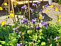 Verblijf 620548 • Bed and breakfast Walcheren • Thalassa  • 7 van 26