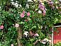 Verblijf 620548 • Bed and breakfast Walcheren • Thalassa  • 9 van 26