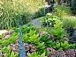 Guest house 690101 • Bed and Breakfast Voorne Putten/Hoekse waard • DE DIJK  • 14 of 18