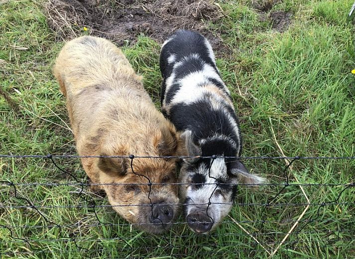 Lichte zithoek bij De Borage Texel, Oosterend met uitzicht op de natuur, ideaal voor ontspanning op het Waddeneiland Texel.