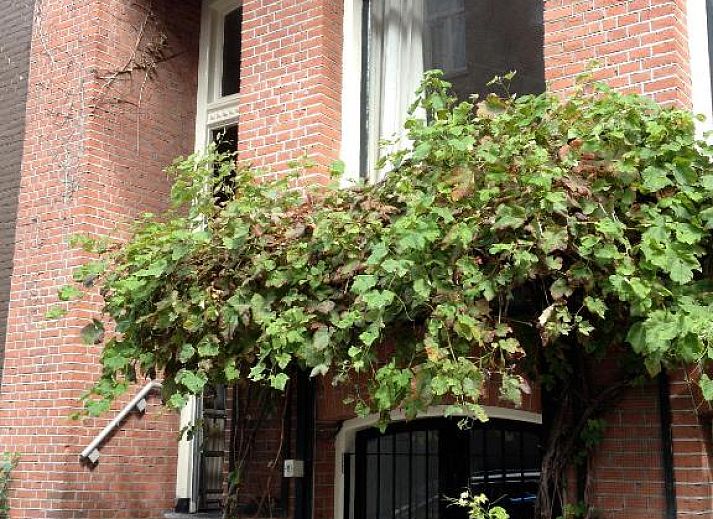 Verblijf 0151667 - Bed and breakfast Amsterdam eo - Nine(T)Teen