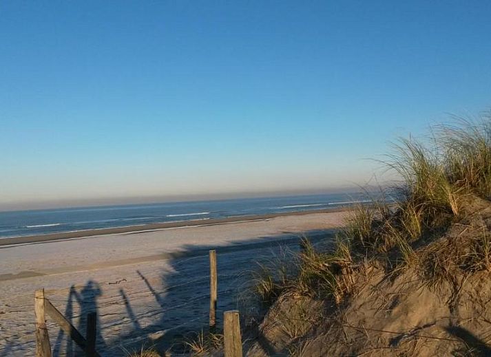 Guest house 016803 - Bed and Breakfast Noordzeekust - B&amp;B Noordwijk Binnen