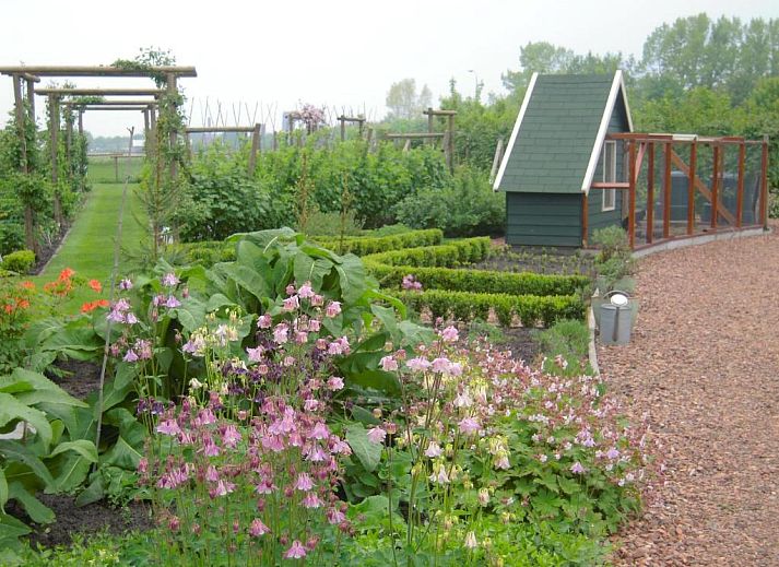 Guest house 023501 - Bed and Breakfast Zuidoost Groningen - B&B ZomersBuiten