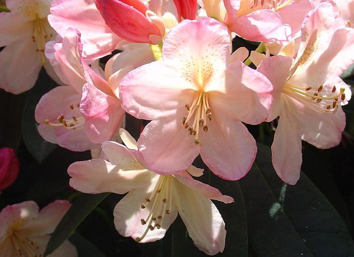 Moderne badkamer met dubbele wastafel in Bed & Breakfast Walenburg, Rotterdam.