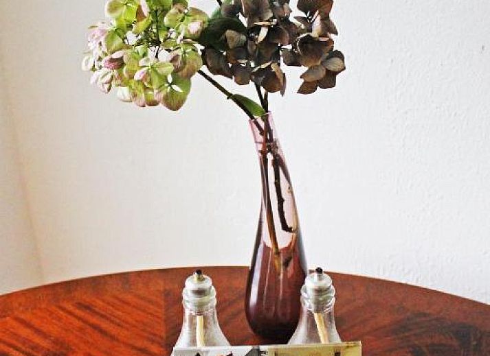 Keuken met uitzicht op de tuin bij Bed & Breakfast Walenburg in Rotterdam, Zuid-Holland.