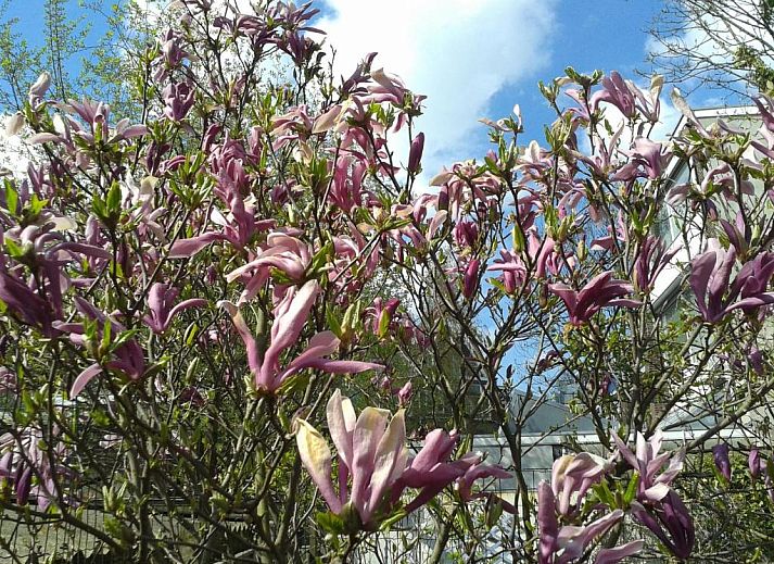 Moderne Kueche im Bed & Breakfast Maria, Rotterdam, komplett mit Geraeten und Schraenken.