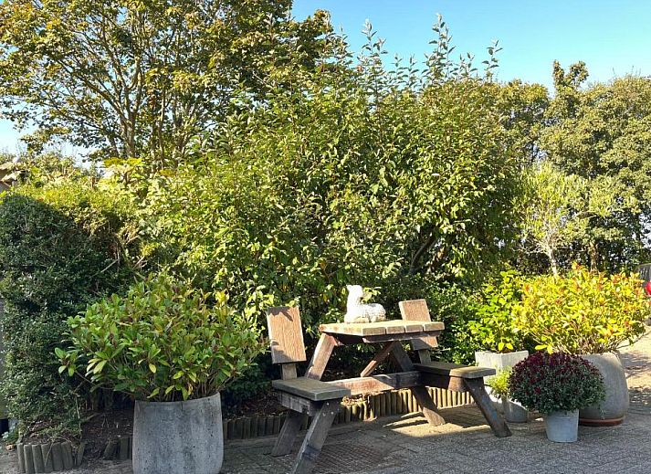 Guest house 040104 - Bed and Breakfast Texel - B&B Vloedlijn Texel