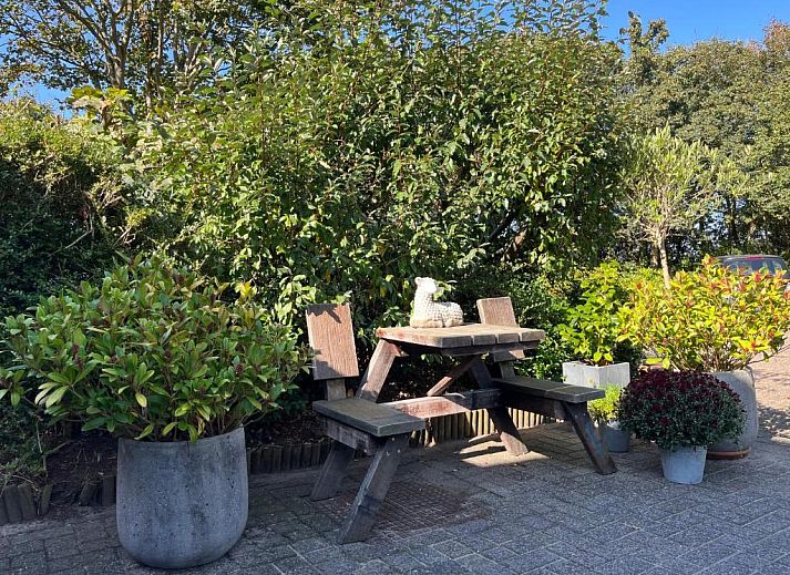 Guest house 040104 - Bed and Breakfast Texel - B&B Vloedlijn Texel