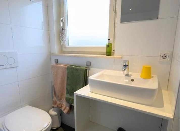 Guest house 076219 - Bed and Breakfast Walcheren - B&B Witvliet, kamers en studio met heerlijk ontbijt !