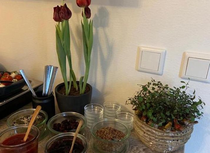 Guest house 076219 - Bed and Breakfast Walcheren - B&B Witvliet, kamers en studio met heerlijk ontbijt !