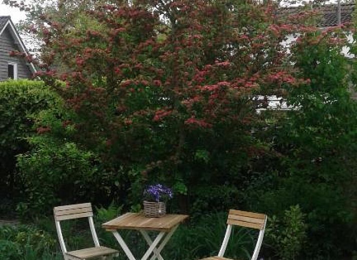 Guest house 076219 - Bed and Breakfast Walcheren - B&B Witvliet, kamers en studio met heerlijk ontbijt !