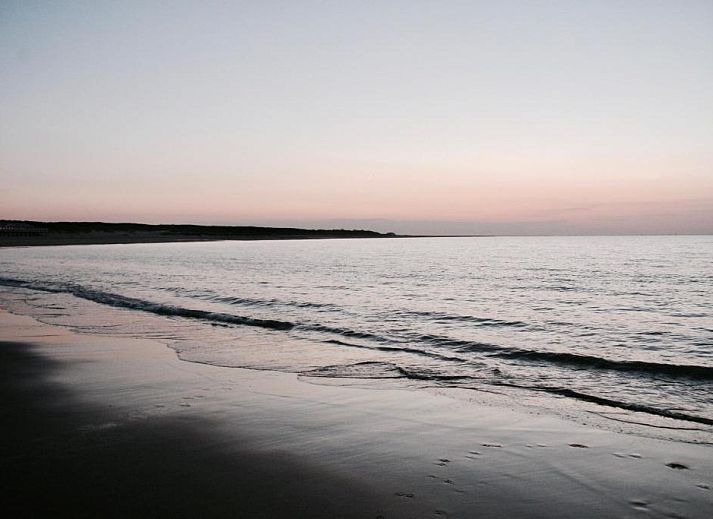 Freibad im Bed & Breakfast Zeeland in Noordwelle, umgeben von Natur.
