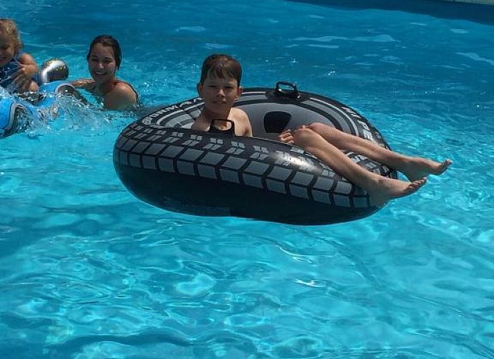 Freibad im Bed & Breakfast Zeeland in Noordwelle, umgeben von Natur.