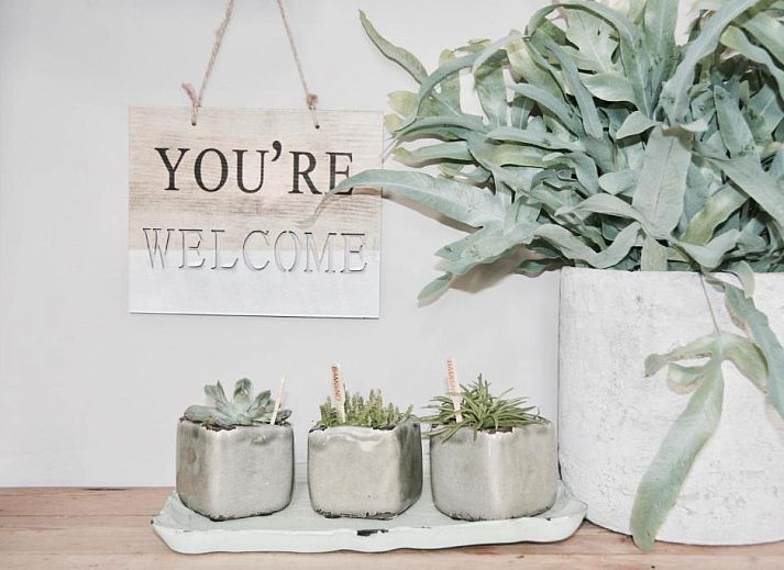 Freibad im Bed & Breakfast Zeeland in Noordwelle, umgeben von Natur.