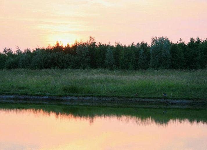 Freibad im Bed & Breakfast Zeeland in Noordwelle, umgeben von Natur.