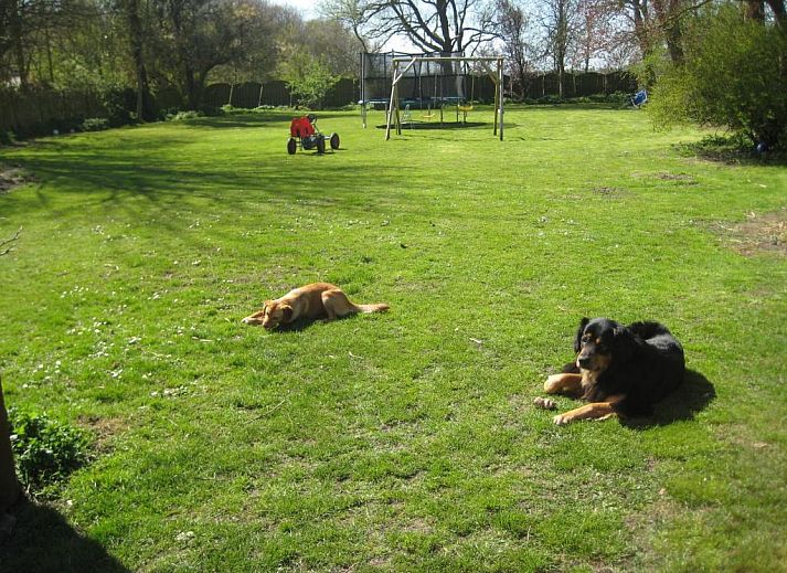 Reichhaltiges Fruehstueck im Bed & Breakfast Zeeland, Noordwelle, mit frischem Obst und Broetchen.