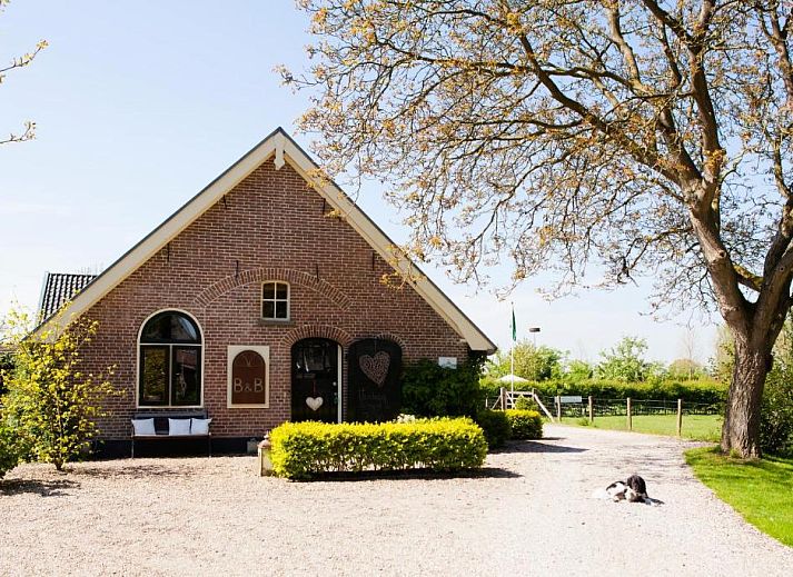 Guest house 115701 • Bed and Breakfast Utrechtse Heuvelrug • Bed and Breakfast Klein Groenbergen 