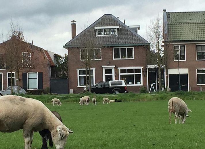 Guest house 135002 • Bed and Breakfast Noord-Holland zuid • Art+bed and breakfast