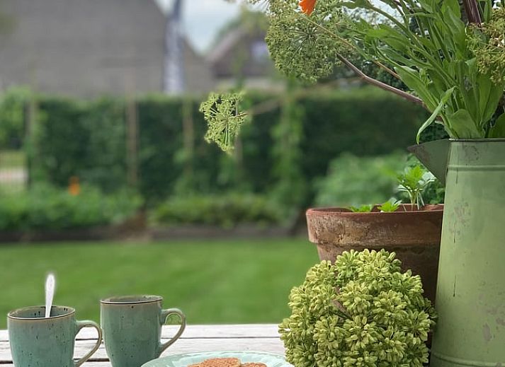 Charmantes Ferienhaus in Beilen, Zentral-Drenthe mit Reetdach und gruenem Garten.