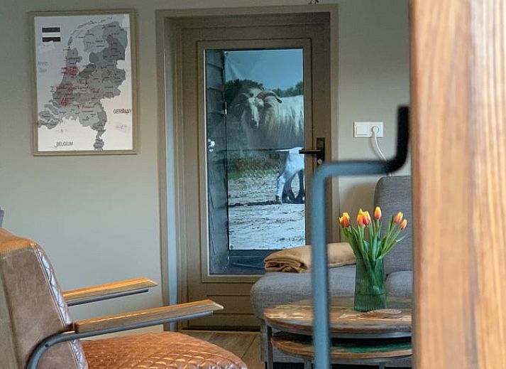 Gemuetliches Plaetzchen im Freien im Ferienhaus in Beilen, Zentral-Drenthe mit Kaffee und Blumen.