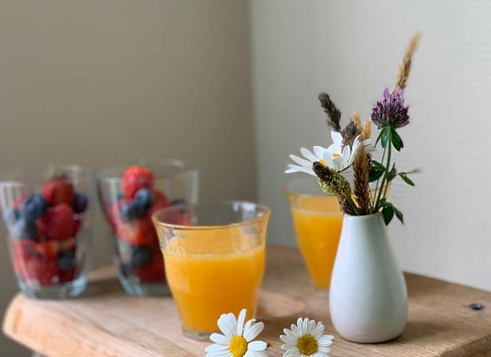 Ferienhaus in Beilen, Zentral-Drenthe mit Terrasse und Herbstgarten.