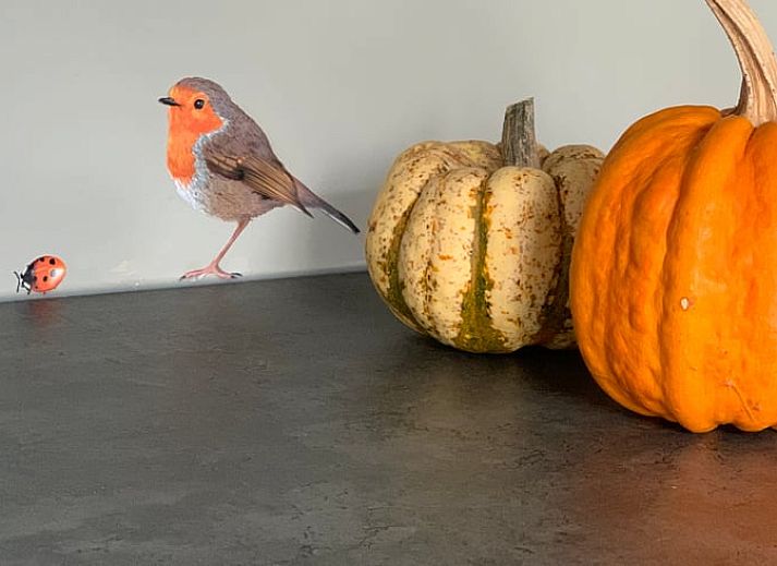 B&B Fassade eines Ferienhauses in Beilen, Zentral-Drenthe mit Blumenkaesten.