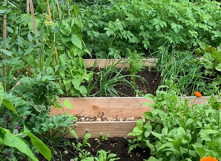 Luftaufnahme des Ferienhauses in Beilen, Zentral-Drenthe mit grossem Garten.