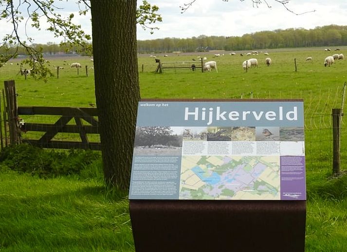 Gemuetliche Sitzecke im modern eingerichteten Ferienhaus in Beilen, Zentral-Drenthe.