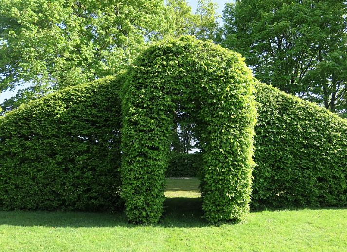 Gezellige woonkamer van Seppenstijn bed and breakfast in Ruinerwold, Drenthe, met comfortabele zitplaatsen.