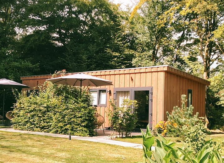 Veranda van Huisje in Elim, bed and breakfast in Elim, Zuidwest Drenthe, perfect voor ontspanning in de natuur.