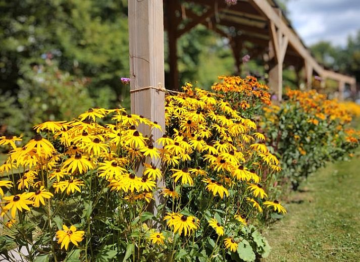 Slaapkamer van Huisje in Elim, vakantiehuis in Elim, Zuidwest Drenthe, met moderne inrichting en veel licht.