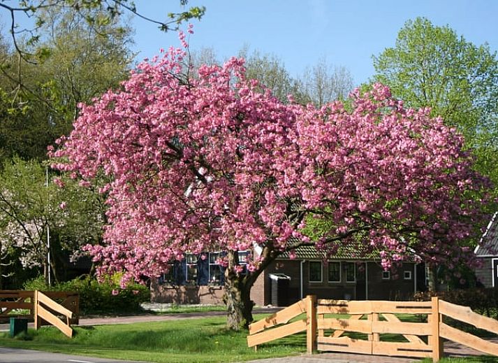 Slaapkamer van Huisje in Elim, vakantiehuis in Elim, Zuidwest Drenthe, met moderne inrichting en veel licht.
