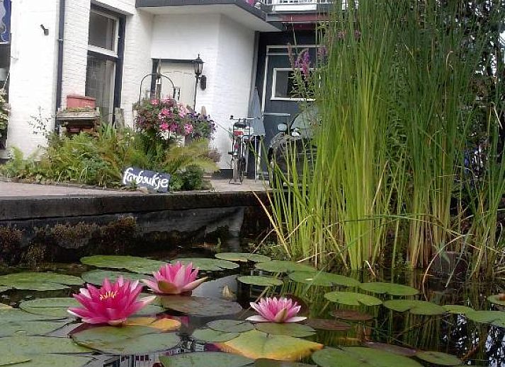 Guest house 262502 • Bed and Breakfast Princehof/Alde feanen • B&B ByBoukje