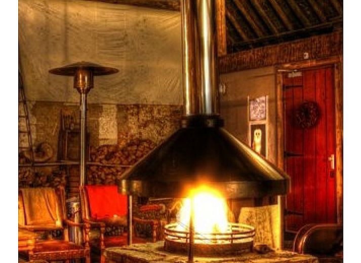 Paarden grazen bij Logement Doosje, een bed and breakfast op het Friese platteland in Warfstermolen.