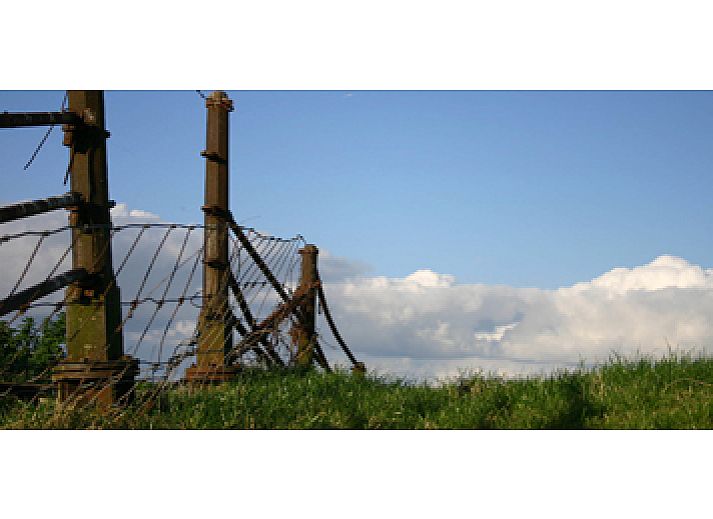 Gezellige open haard in de binnenruimte van Logement Doosje, bed and breakfast in Friesland.