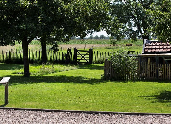 Geniet van de zonnige tuin bij De Achtertuin, een bed and breakfast in Rumpt, Gelderland met een uitnodigend terras.