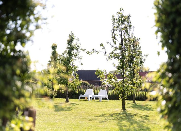 Guest house 287103 - Bed and Breakfast Rivierengebied - Huisje in Maasbommel